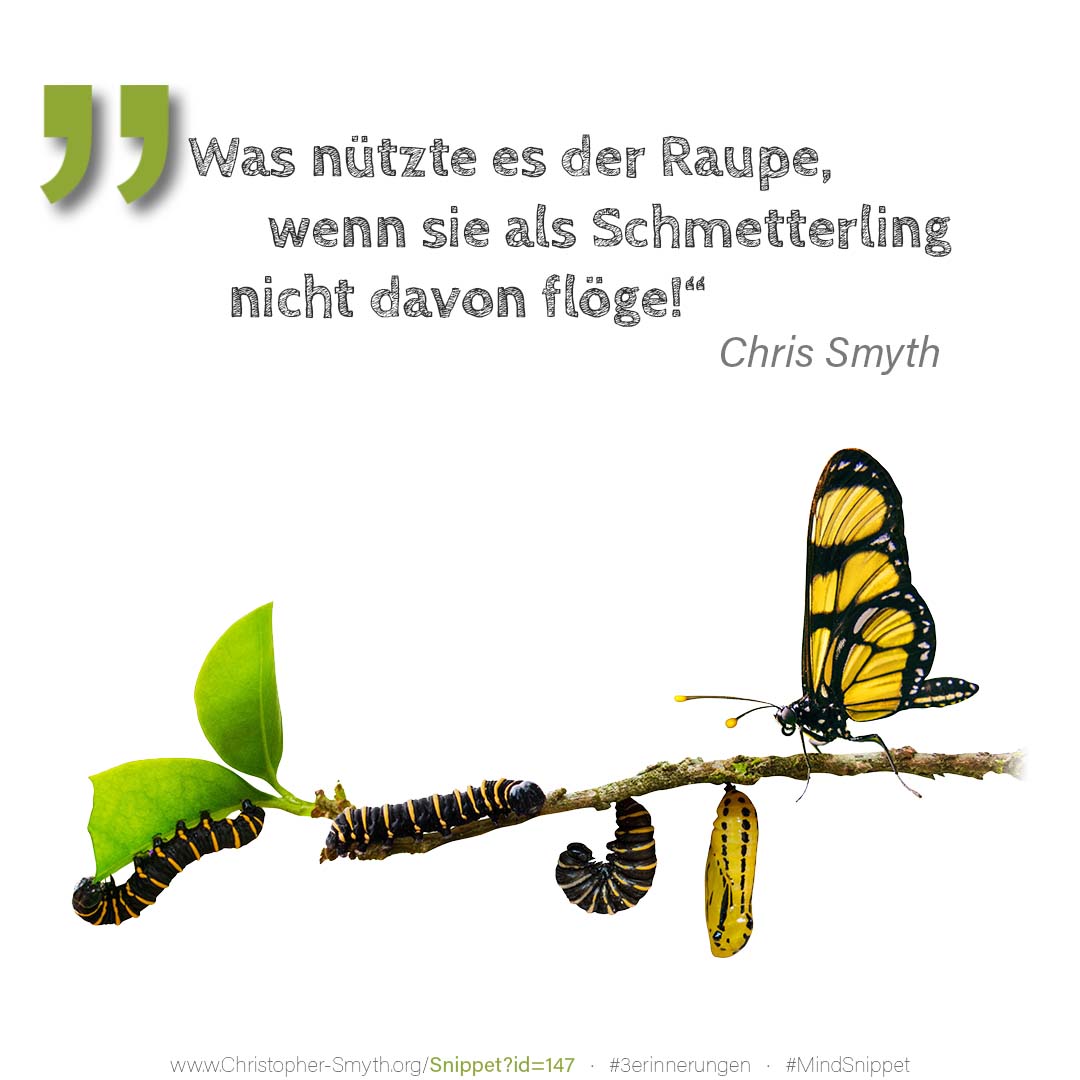 Passendes Bild zum Zitat von Chris Smyth: Was nützte es der Raupe, wenn sie als S... Passendes Social-Media-Bild zum Zitat von Chris Smyth